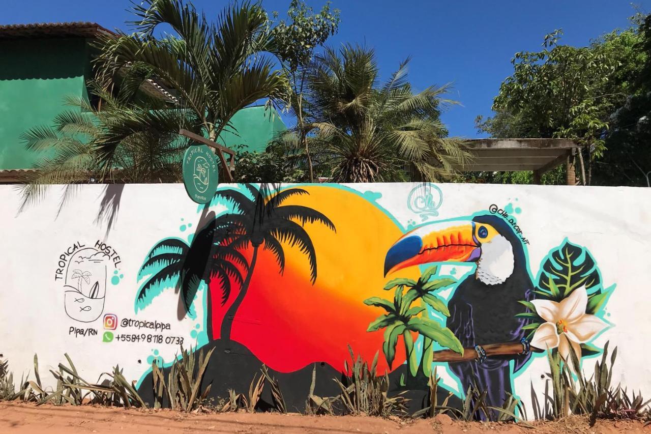Tropical Hostel Praia de Pipa المظهر الخارجي الصورة
